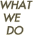 What We Do